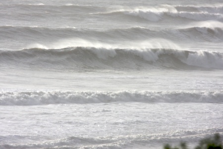 Feb 24, 2008 - Along the Coast South of Rincon
